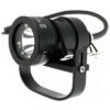 Yellow Diving: Head  L75 E/O