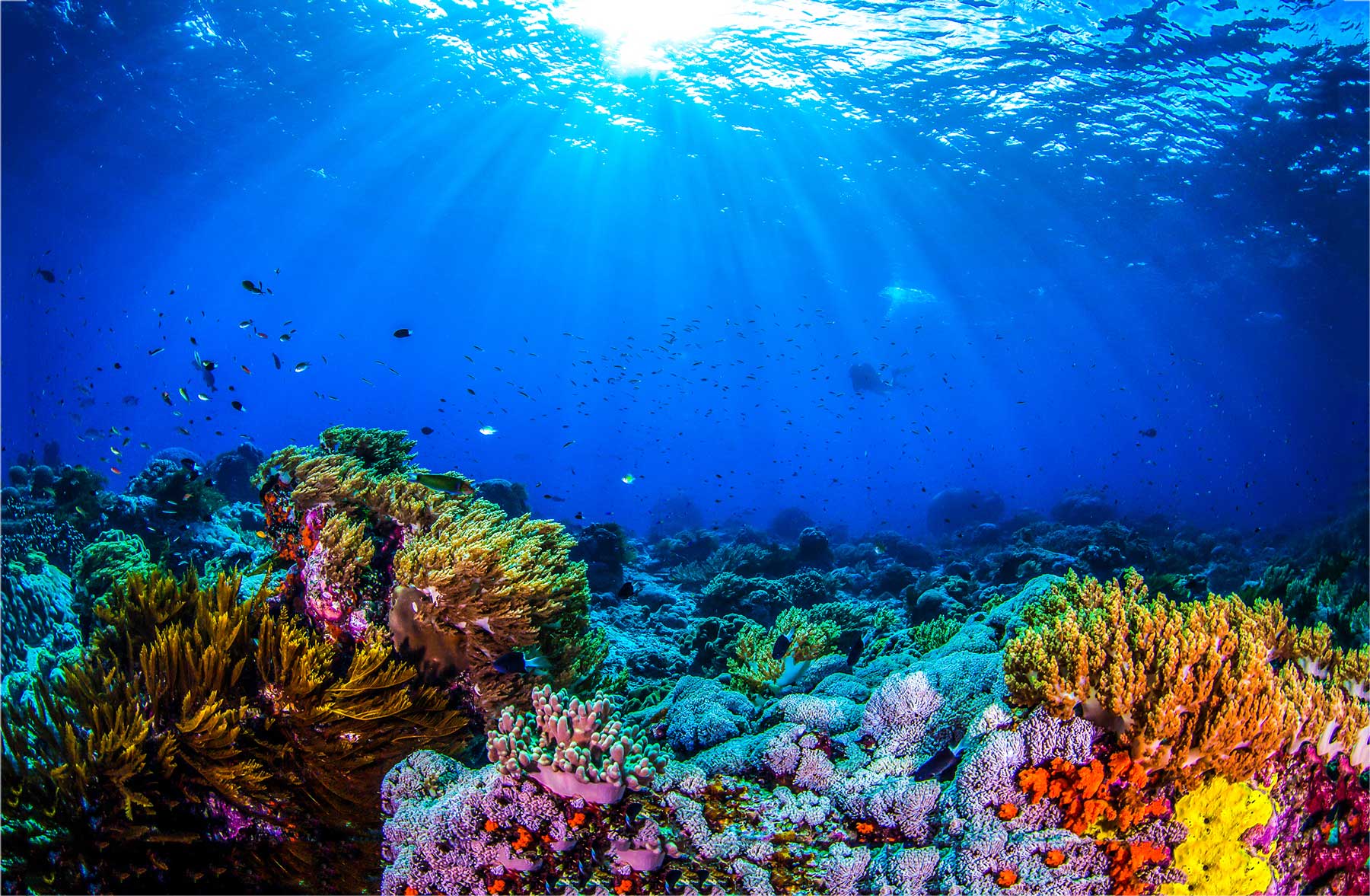 Atlantis: Atlantis Full face Snorkel Masker Op=Op