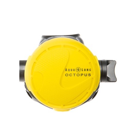 3661667087642-2 Aqualung: Calypso octopus