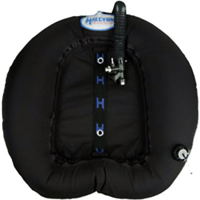 818 Halcyon: Evolve wing / 60 lbs