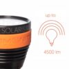 Ammonite: Led Solaris NextGEn
