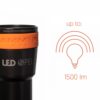 Ammonite-Led-Speleo-1 Ammonite: Led Speleo