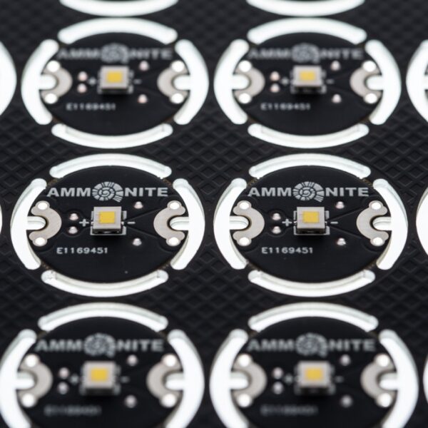 Ammonite-led-one-skos-3 Ammonite System: Led One