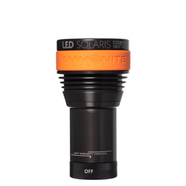 Ammonite: Led Solaris NextGEn