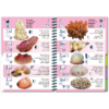 Marine Pictolife: Aziatische Oceaan