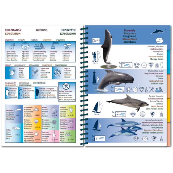 Marine Pictolife: Aziatische Oceaan