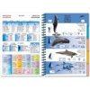 Marine Pictolife: Oost Atlantische