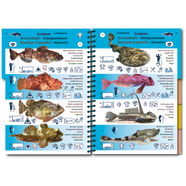 Marine Pictolife: Aziatische Oceaan
