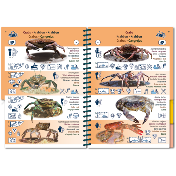 Marine Pictolife: Aziatische Oceaan