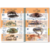 Marine Pictolife: Oost Atlantische
