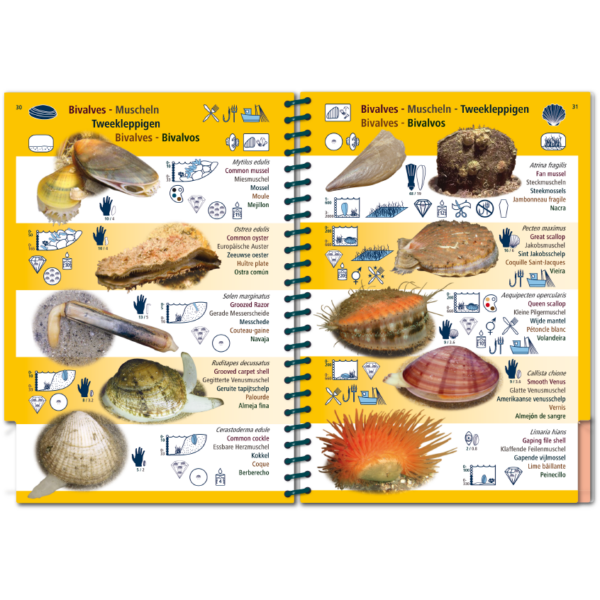 Marine Pictolife: Aziatische Oceaan