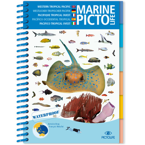 Aziatische Marine Pictolife: Aziatische Oceaan