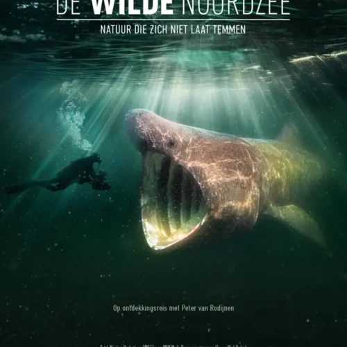 Boek-de-wilde-Noordzee Boek: De Wilde Noordzee