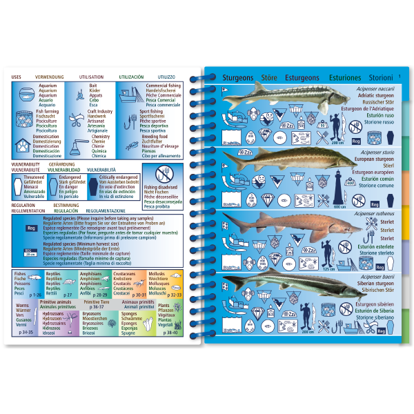 Marine Pictolife: Zoetwater West-Europa