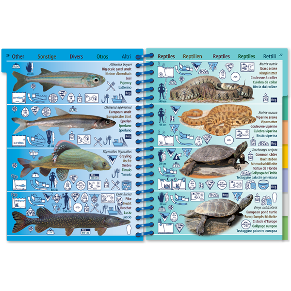 Marine Pictolife: Zoetwater West-Europa