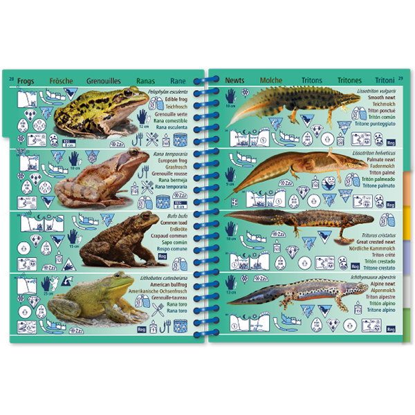 Marine Pictolife: Zoetwater West-Europa