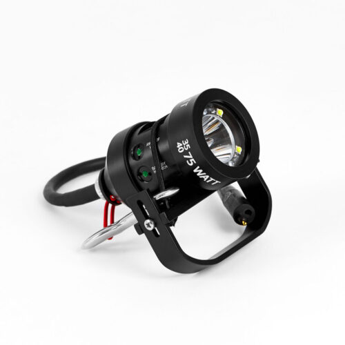 Yellow Diving: Head  L75 E/O