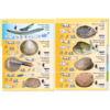 MB-6 Marine Pictolife: Low Tide