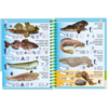 MB-9 Marine Pictolife: Low Tide