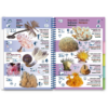 Med-12-Copy-Copy Marine Pictolife: Middellandse zee