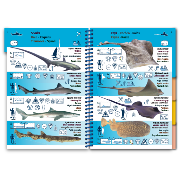 Med-5 Marine Pictolife: Middellandse zee