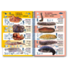 Med-9-Copy-Copy Marine Pictolife: Middellandse zee