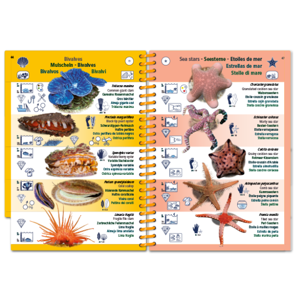 Marine Pictolife: Indische Oceaan en Rode Zee
