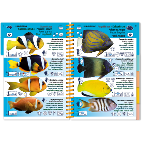 Marine Pictolife: Indische Oceaan en Rode Zee