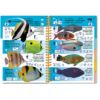 Marine Pictolife: Indische Oceaan en Rode Zee