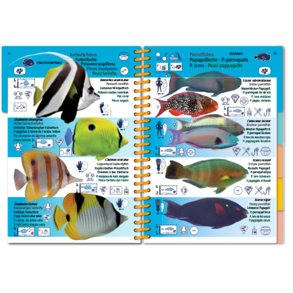 Marine Pictolife: Indische Oceaan en Rode Zee
