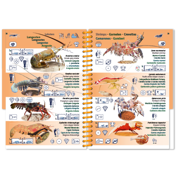 Marine Pictolife: Indische Oceaan en Rode Zee