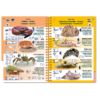 Marine Pictolife: Indische Oceaan en Rode Zee