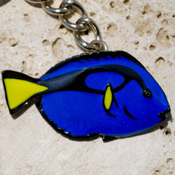 doktersvis_kc07_250px Searaden: Dory sleutelhanger