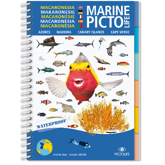 pictolife-Makaronesie-couv Marine Pictolife: Makaronesie