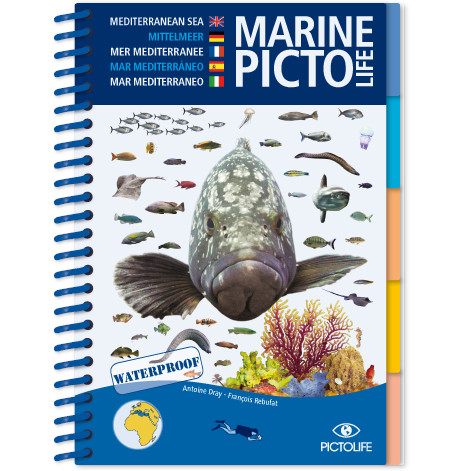 poctolife-Mediterranean-Copy Marine Pictolife: Middellandse zee