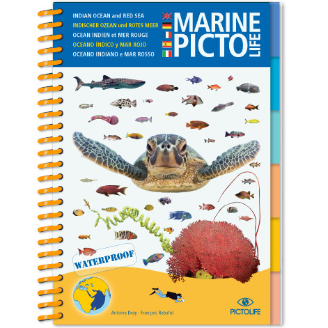 rode-zee Marine Pictolife: Indische Oceaan en Rode Zee